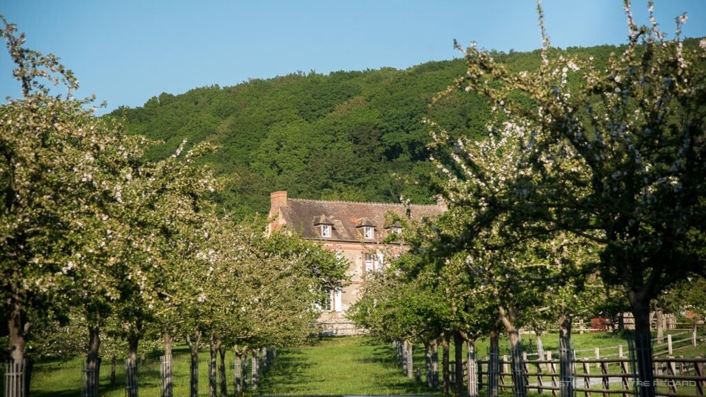 La Route du Cidre en Pays d&rsquo;Auge